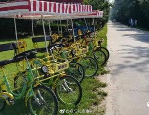 黄河公园爆料最新消息,揭秘公园神秘事件背后的真相